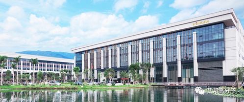 國內(nèi)改性尼龍企業(yè)30強 新材料科技領域的技術創(chuàng)新與市場格局