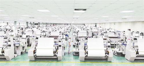 激活科技賦能新引擎——我市以創新驅動助力新材料科技高質量發展綜述